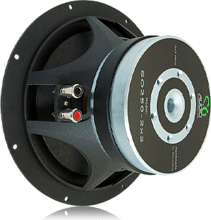 SOAudio SO 250 2х2 Сабвуферный динамик